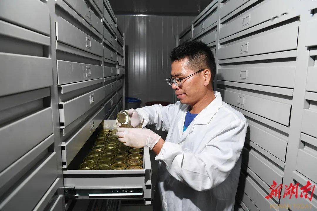 我国优质牧草种质资源完成首次太空舱外暴露实验