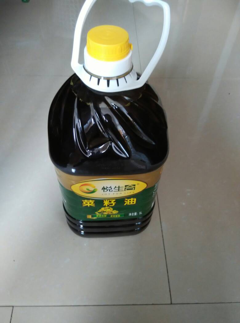 菜籽油预计横盘震荡 油厂菜籽榨利较好