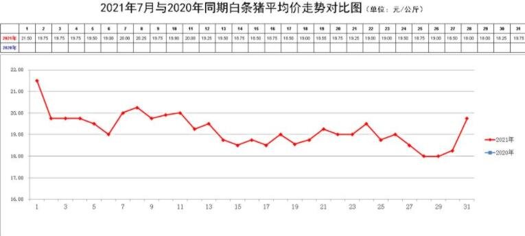 本周生猪期货震荡反弹 市场对后市看涨情绪浓厚
