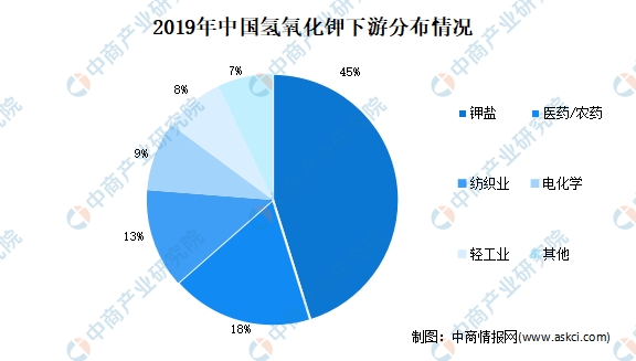 补钾剂行业发展现状 补钾剂行业市场深度分析2024_人保服务,人保有温度