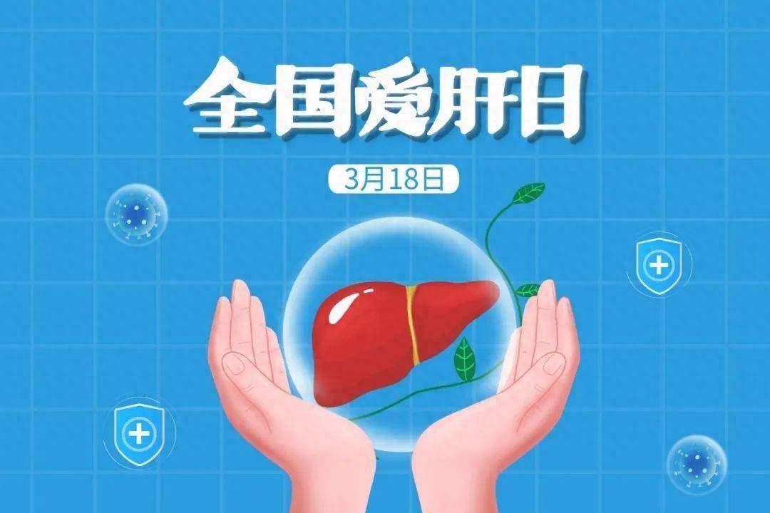 不是肥胖人群患脂肪肝的概率也很大！LAIFE「乐轻肝」守护您的小心肝