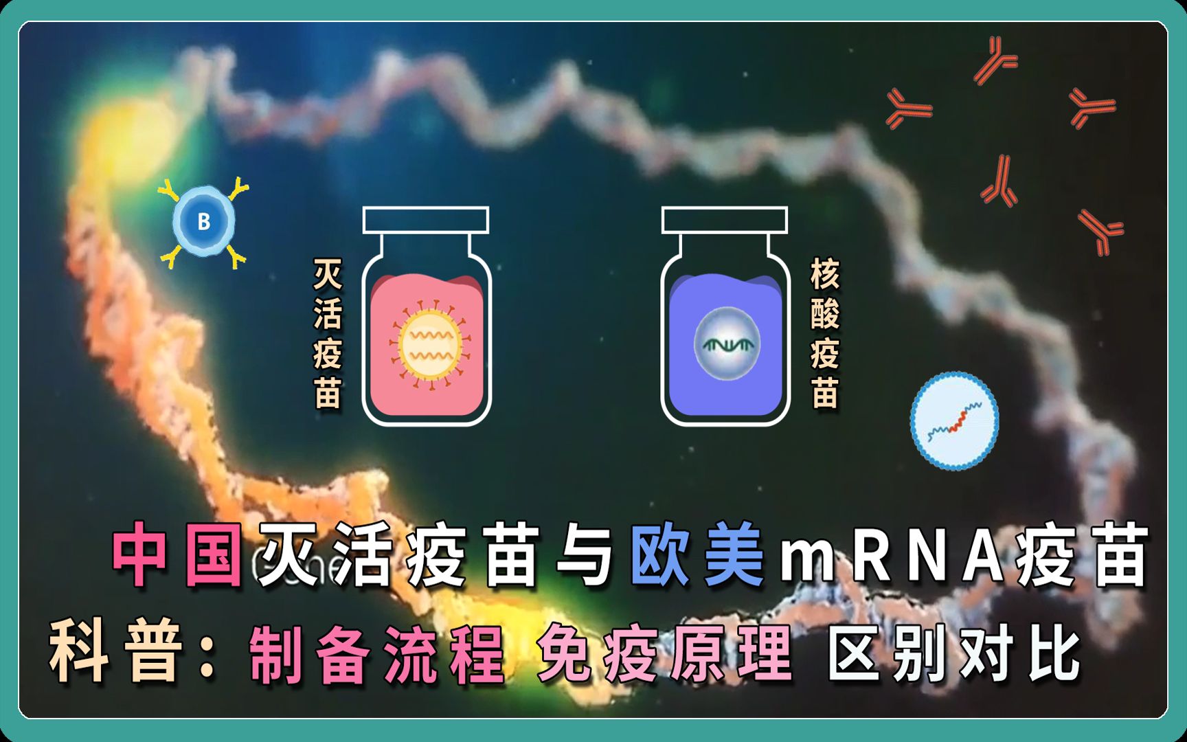 首款非新冠mRNA疫苗获批，呼吸道合胞病毒疫苗迎来新机遇