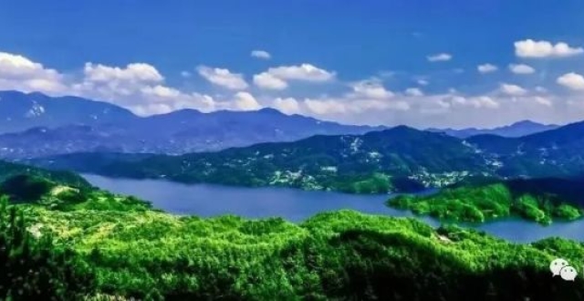 人保车险   品牌优势——快速了解燃油汽车车险,人保财险政银保 _带鱼市场未来发展趋势预测 产品多样化将进一步推动市场的增长