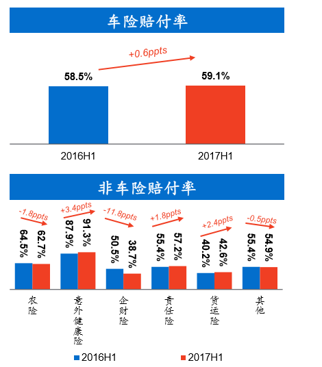 2024年中国血铅检测仪行业的市场发展现状及投资风险分析_人保车险,人保财险 