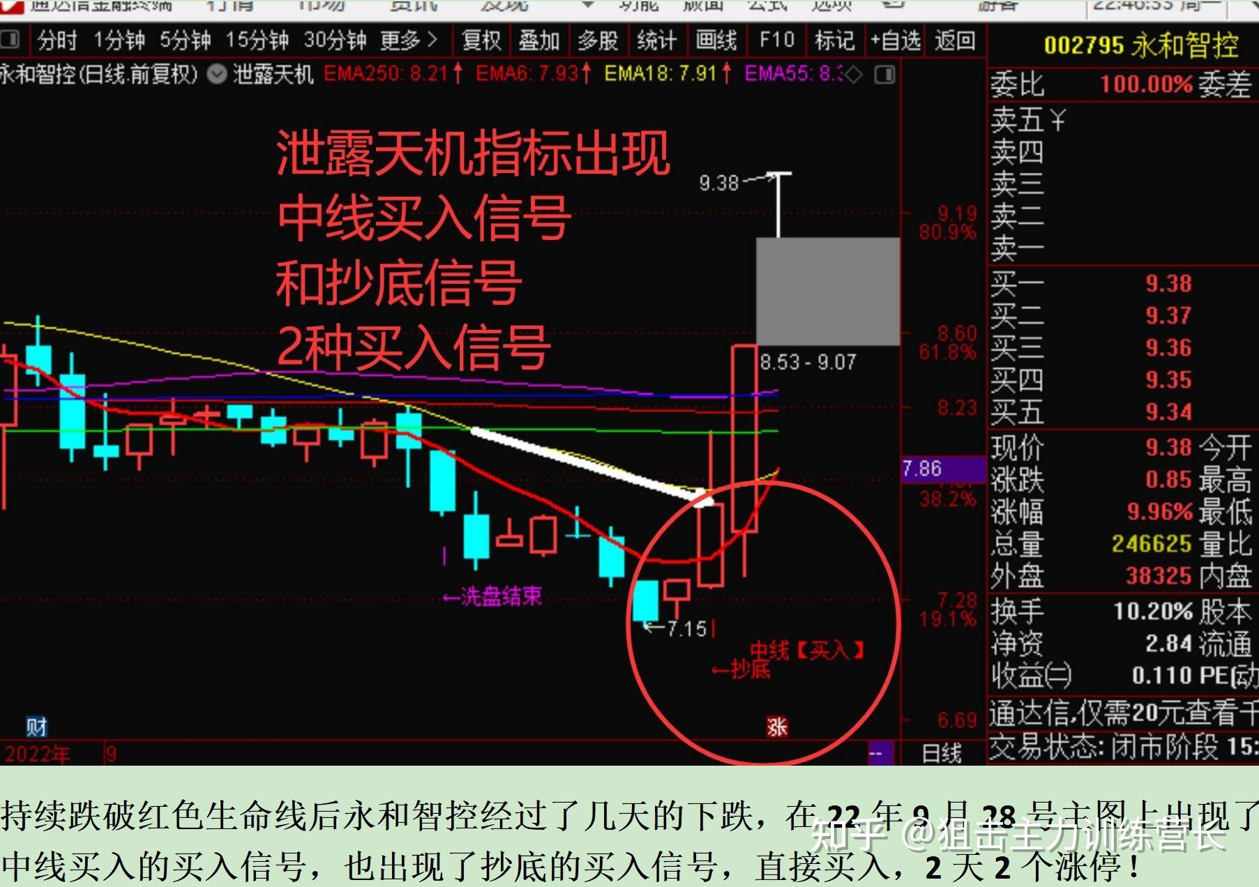 沪市公司提质增效稳扎稳打 头部公司“压舱石”作用凸显