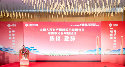 人保服务 ,人保伴您前行_中国汽车减震器行业投资策略分析及深度研究咨询