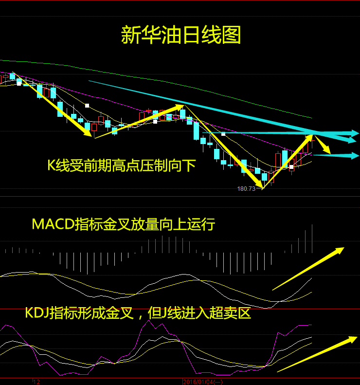 欧佩克+据称正加强监督力度 誓要重塑减产协议权威