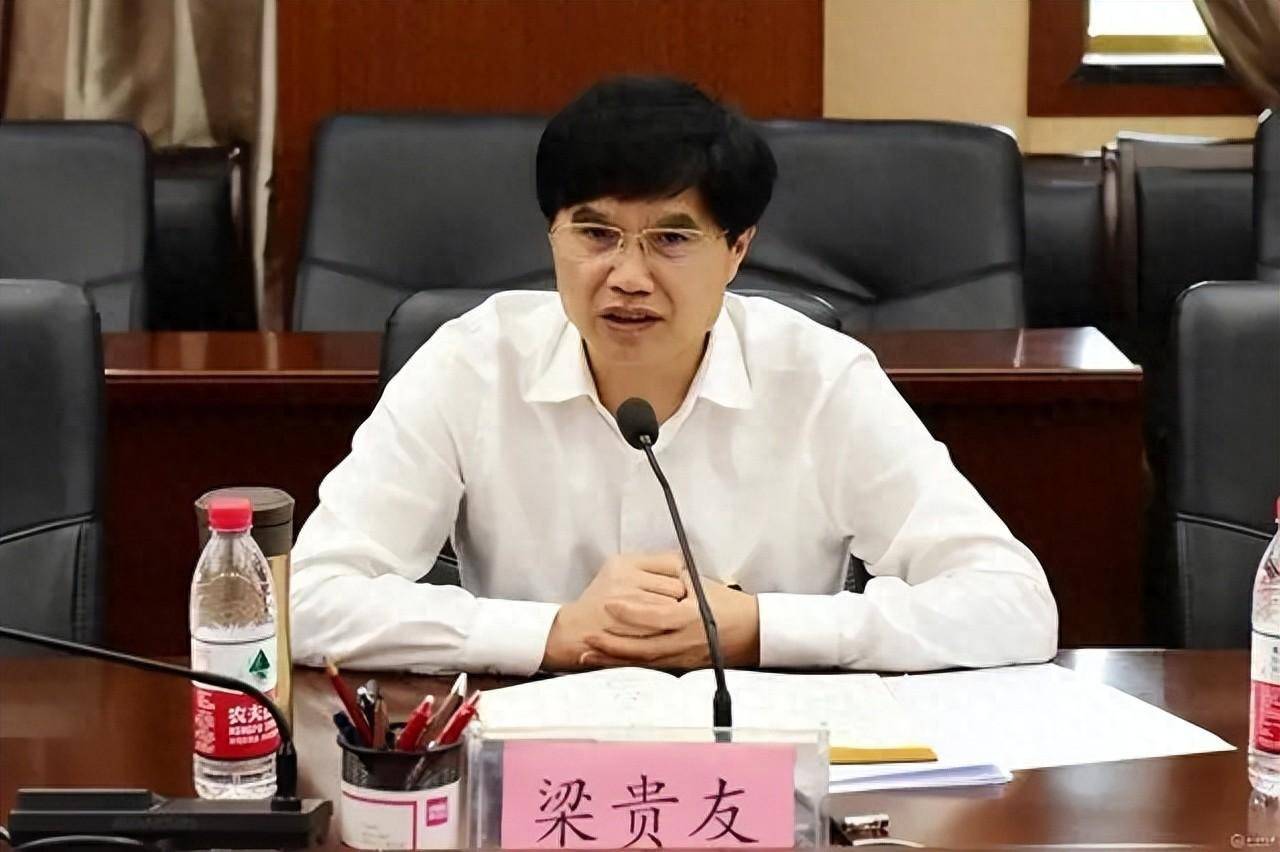 新华保险原董事长李全被决定逮捕