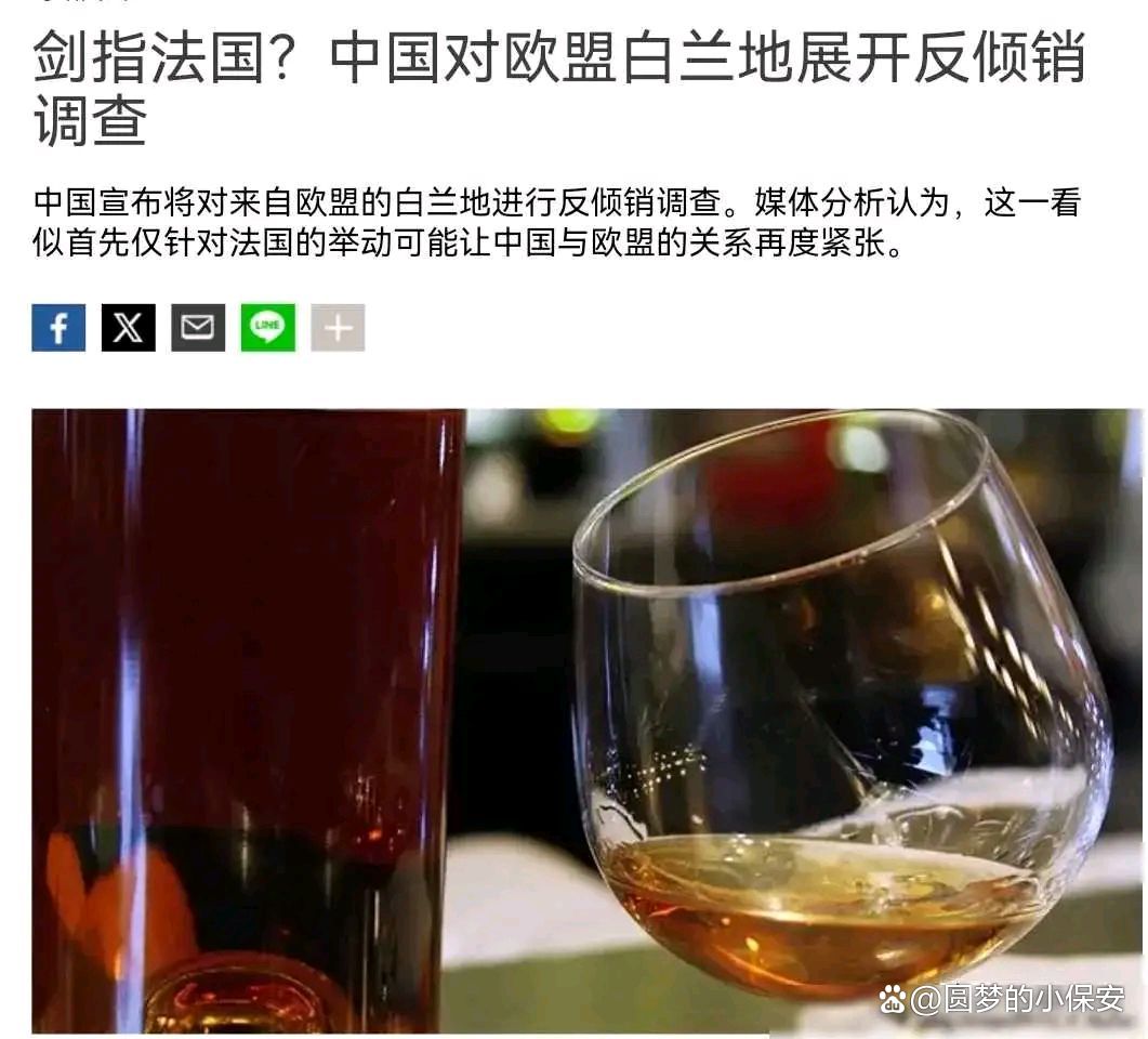 商务部就欧盟将中国对欧盟白兰地临时反倾销措施诉至世贸争端解决机制答记者问