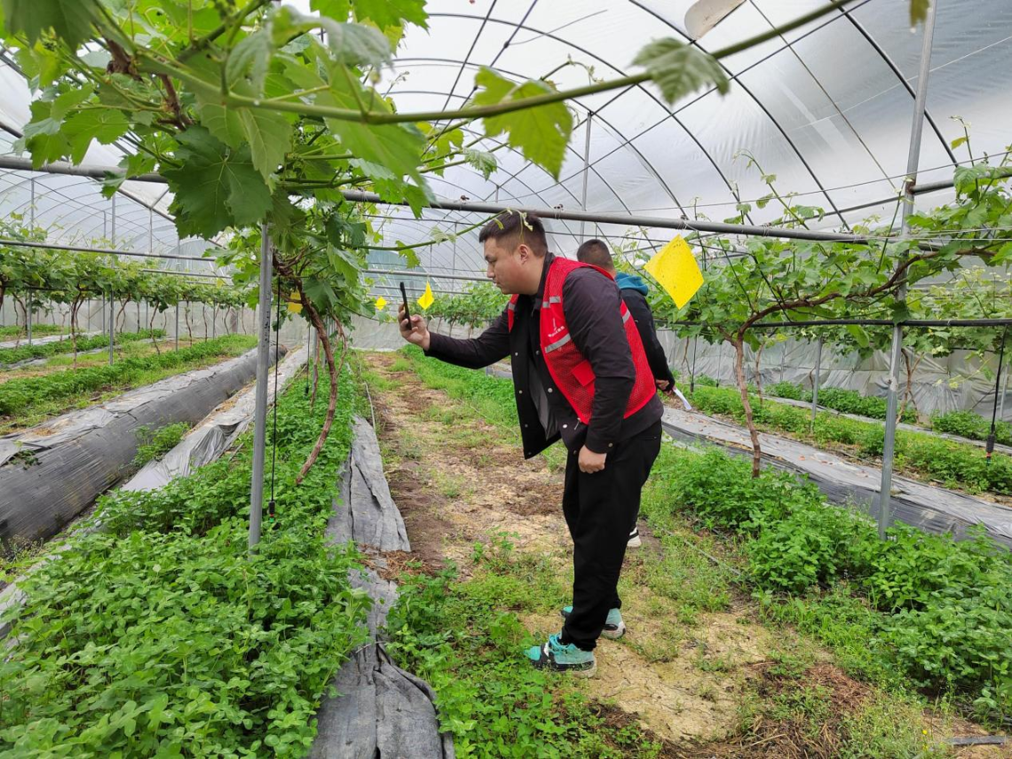 烟草制品行业市场现状及未来发展趋势预测分析_人保财险政银保 ,人保车险