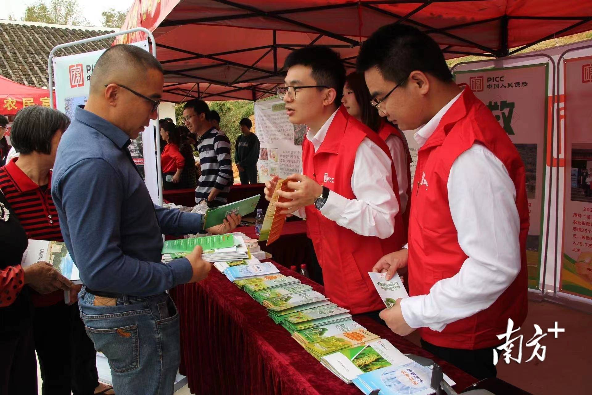 陈皮行业发展趋势及供需分析_保险有温度,人保服务