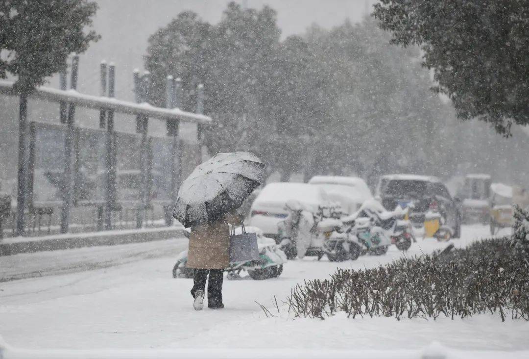 零下22℃！凌晨3点，有人裹棉被排队等开门！网友：真狠啊……