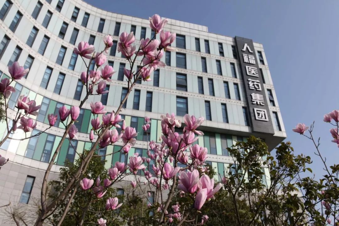 吸入制剂行业供需分析及前景预测_人保财险 ,人保有温度