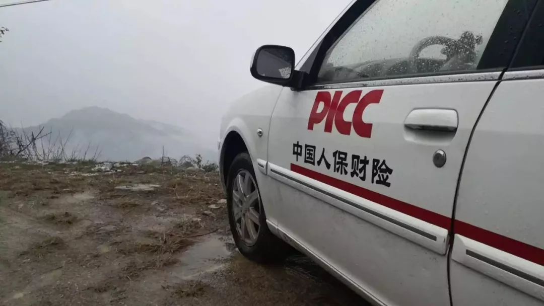 人保服务 ,人保财险 _2025年薄荷爽肤水行业发展趋势及产业链结构