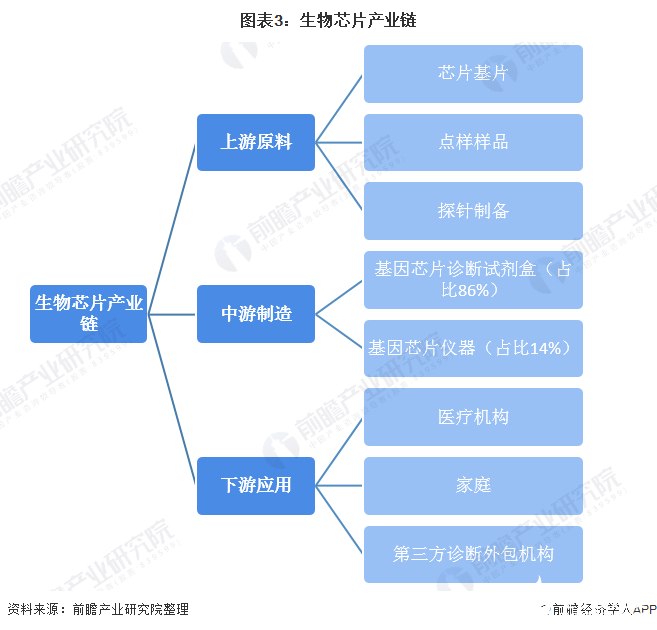 人保服务 ,人保伴您前行_2025洗护用品产业链上下游发展现状及供需格局、竞争格局分析