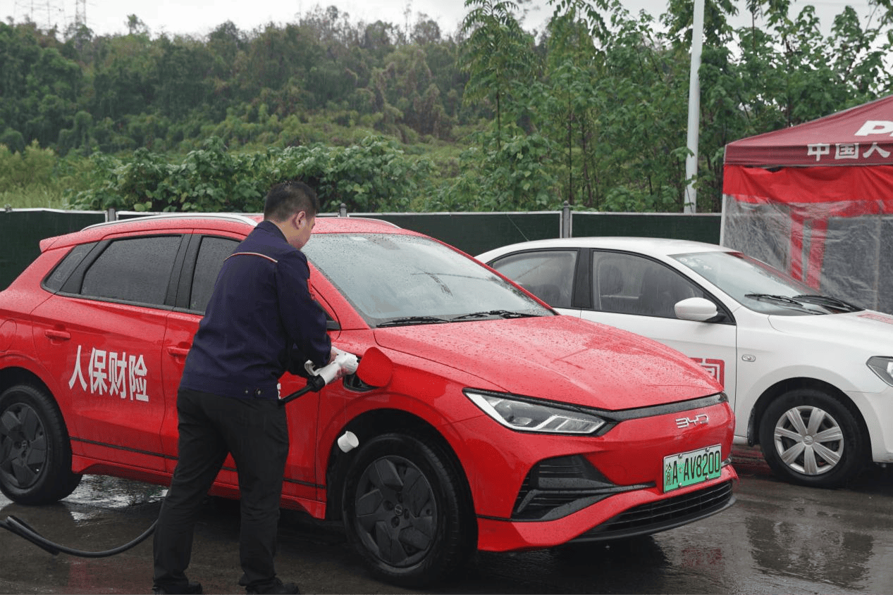 人保服务,人保有温度_中国椰子油行业:2025未来可期,前景广阔