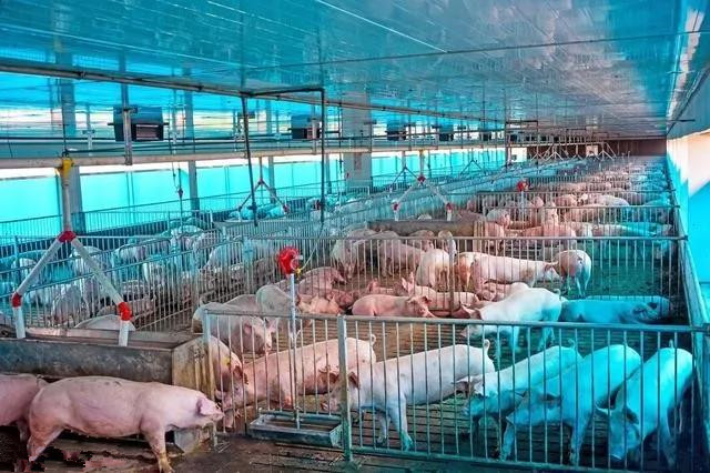 2025年钢筋加工机械行业发展前景预测：高端化、智能化、绿色化_人保车险   品牌优势——快速了解燃油汽车车险,拥有“如意行”驾乘险，出行更顺畅！