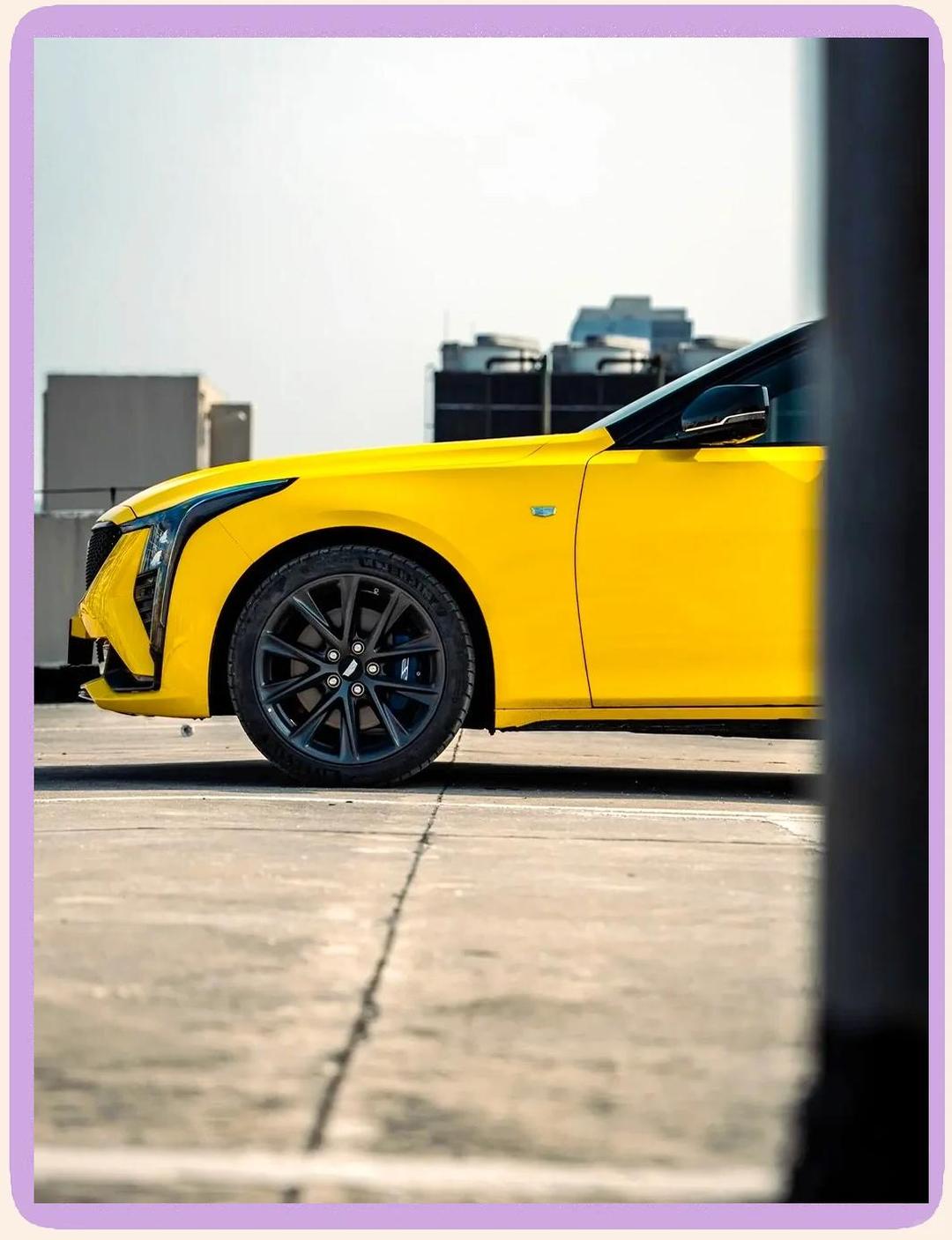 拥有“如意行”驾乘险，出行更顺畅！,人保有温度_2025年出境游行业未来发展趋势：量质齐升