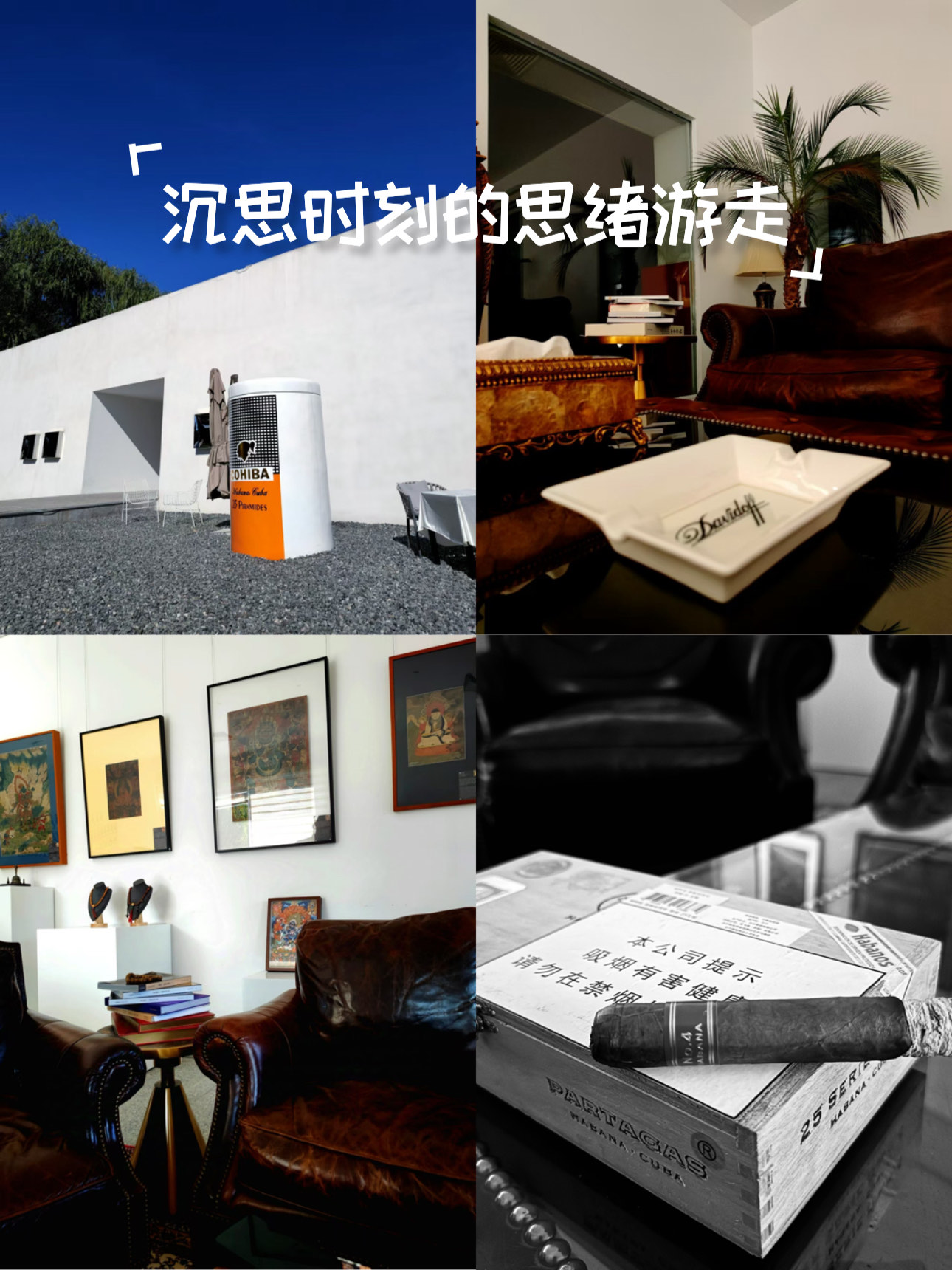 保险有温度,人保服务 _2025年雪茄产业调研：雪茄文化普及与轻奢化营销策略