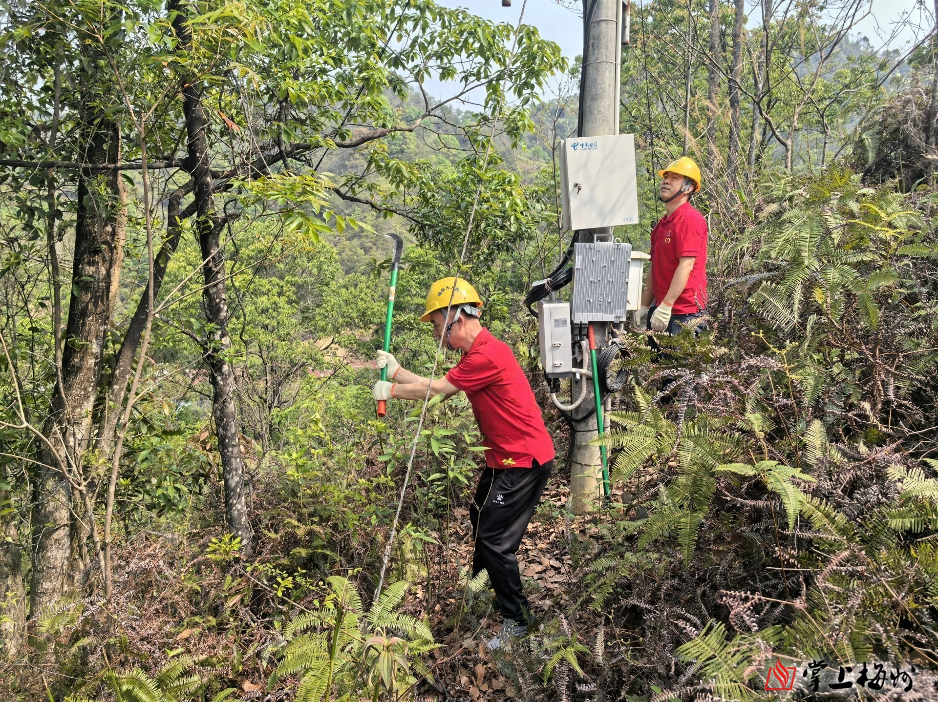 中国电信获得发明专利授权:“一种基站天线调节装置及基站”