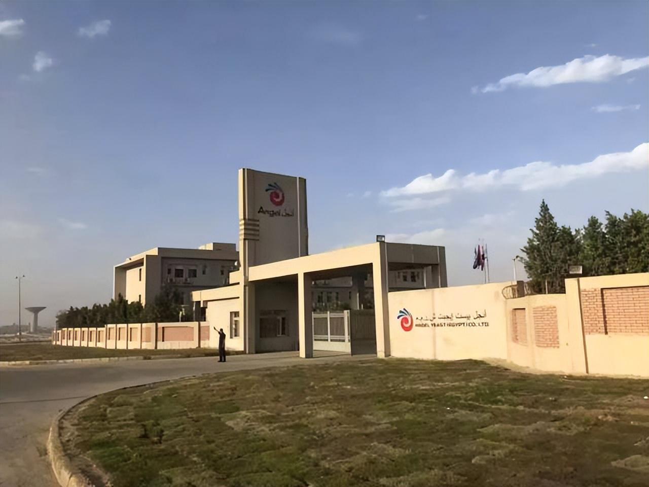 安琪酵母：公司海外工厂目前产能利用率达到设计要求