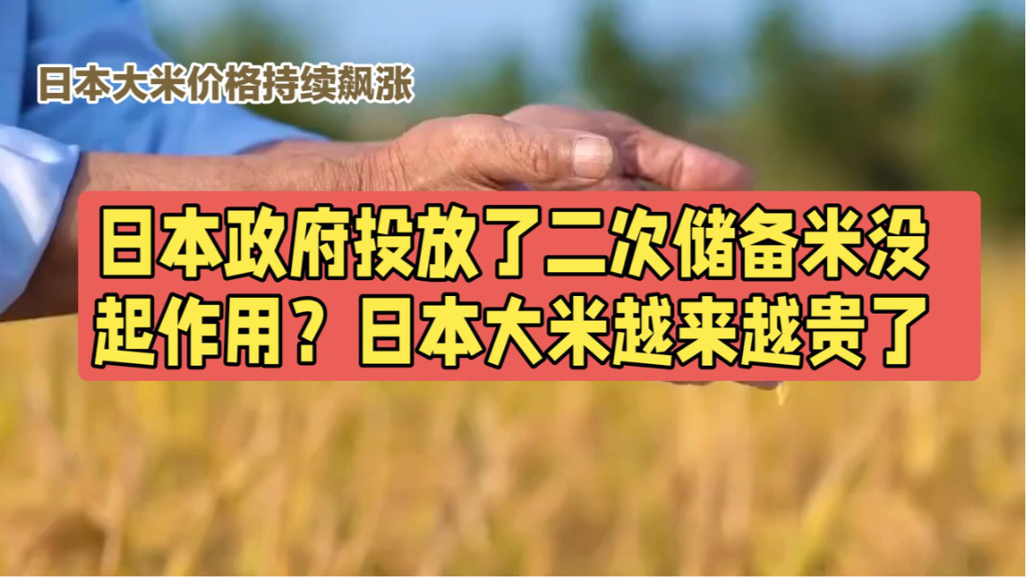 日本政府储备米开始流通，商家申购量已达22万吨