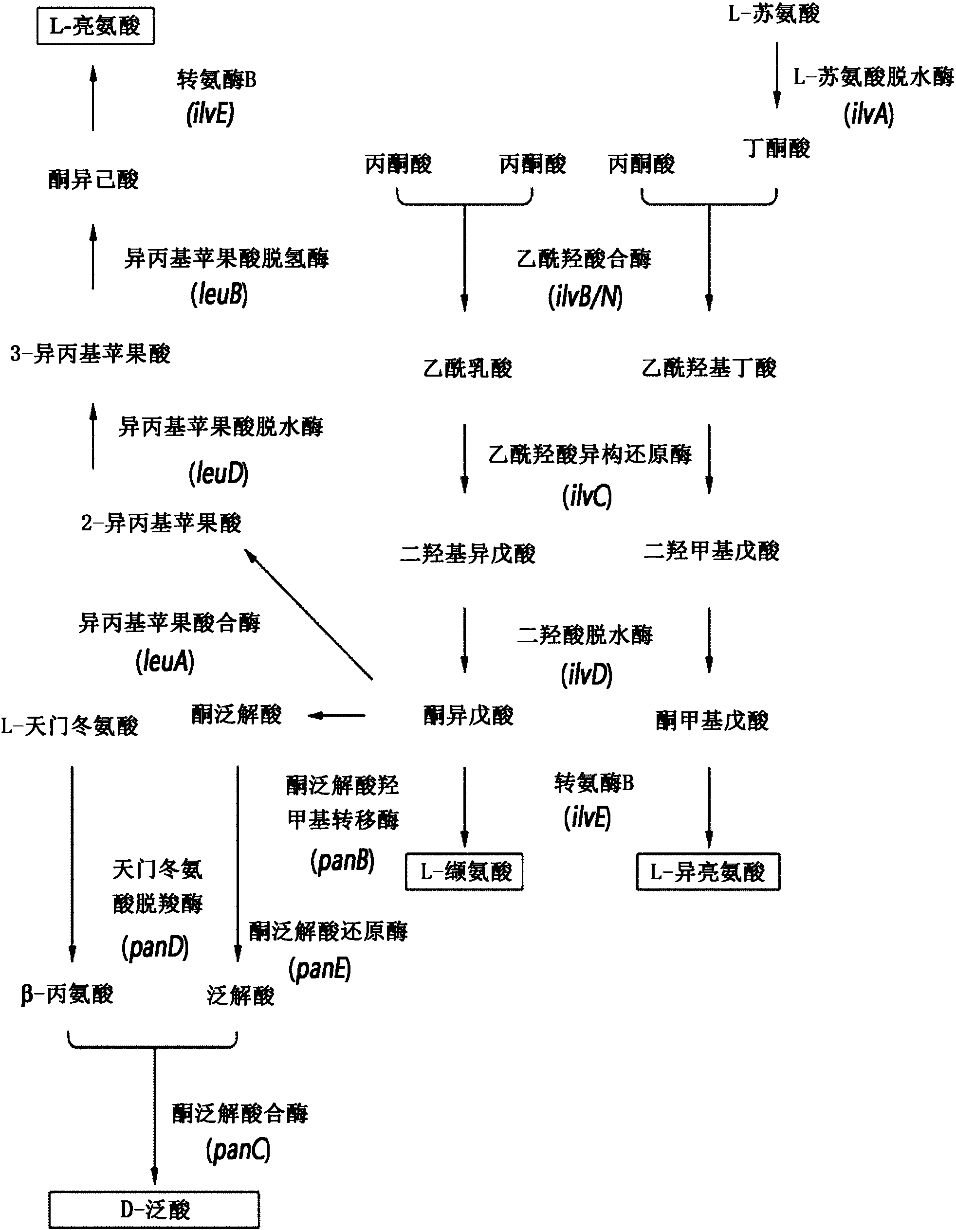 会通股份获得发明专利授权：“一种强韧平衡的全生物降解材料及其制备方法”