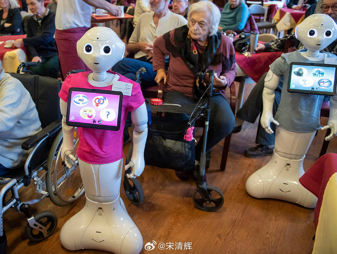 国脉科技：公司基于居家养老场景的AI智能体将在6月份发布