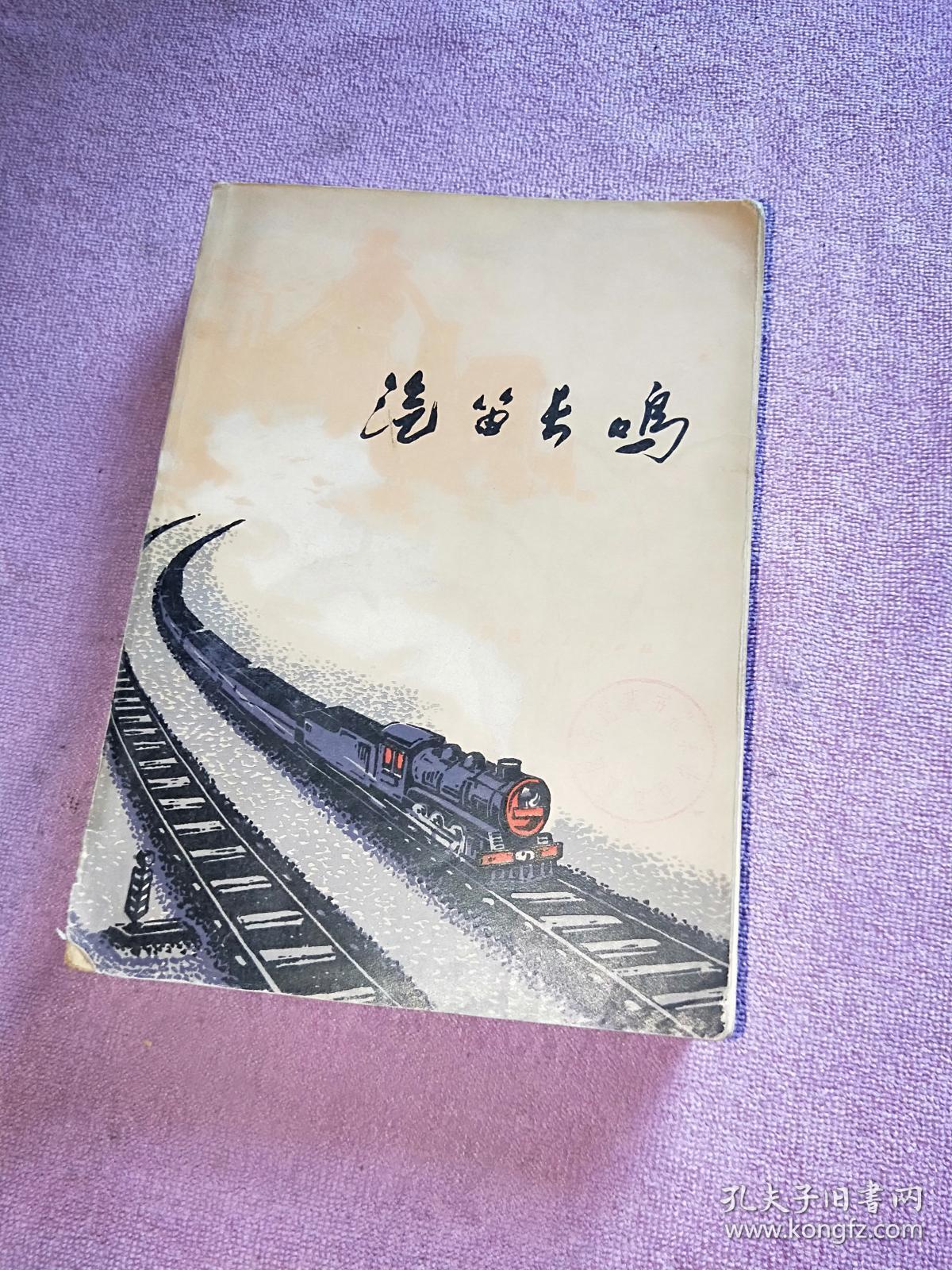 第41次南极考察丨汽笛长鸣，在旷古冰原上——中国第41次南极考察难忘瞬间回眸