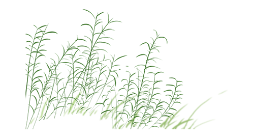 保险有温度,人保护你周全_2025年中国绿色金融行业:把握绿色浪潮,抢占未来先机