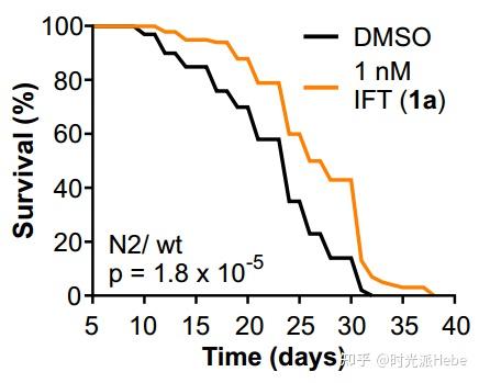 新型化合物可显著延长线虫寿命