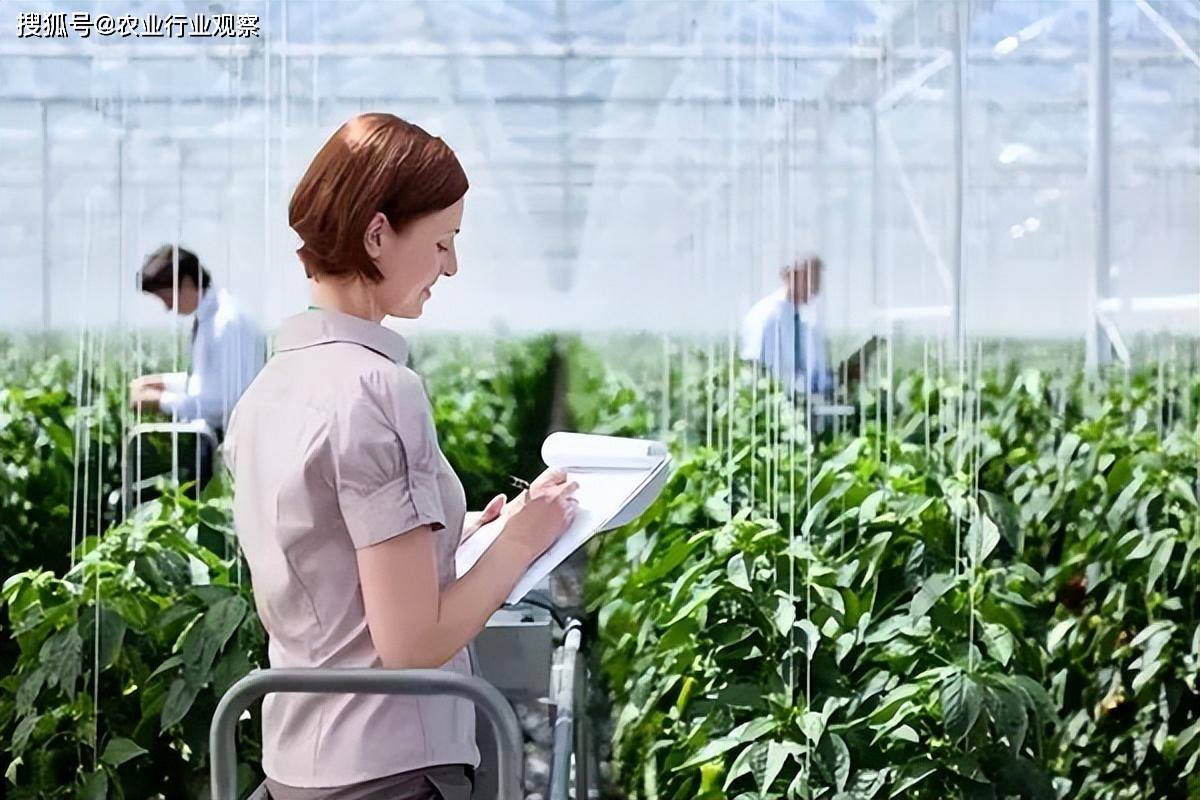 镀锌板行业深度洞察：产业升级与绿色转型驱动的新增长周期(2025-2030)_人保财险 ,拥有“如意行”驾乘险，出行更顺畅！