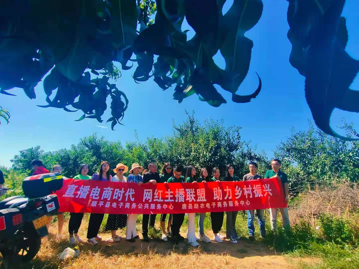 虚构履历卖课被罚200万，一批直播电商领域典型案例公布