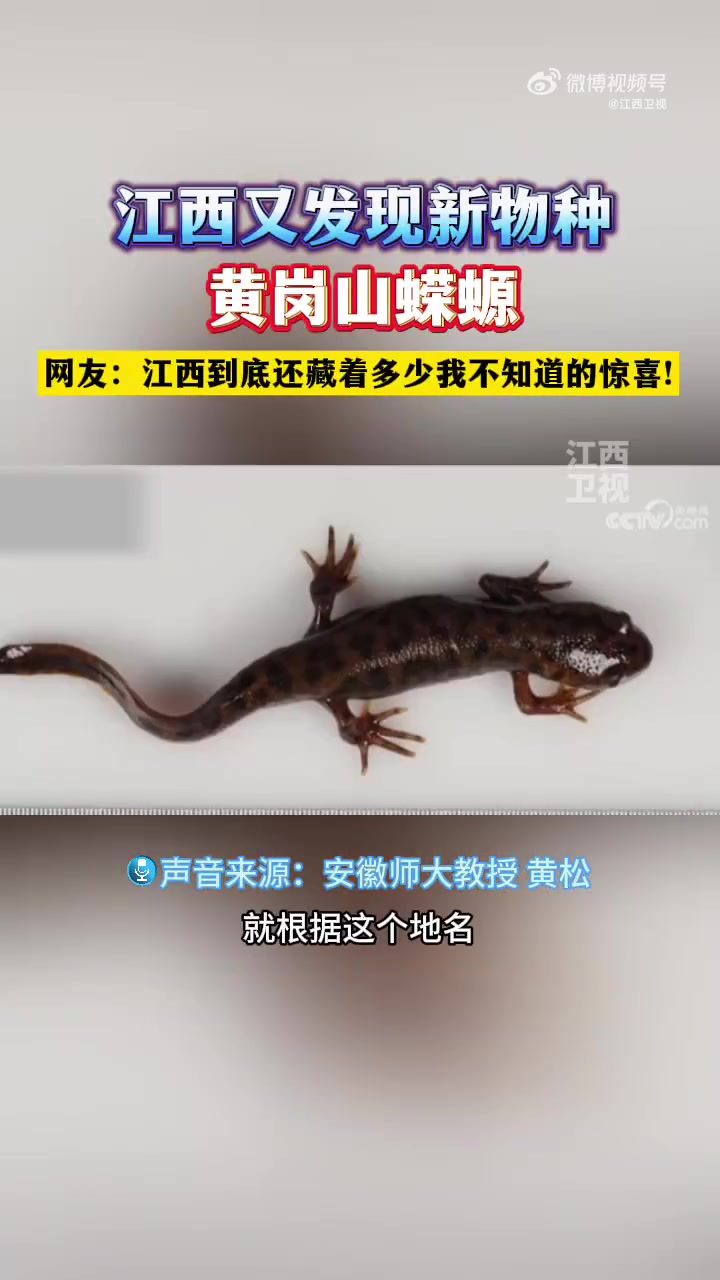 武夷山国家公园发现3个大型真菌新物种