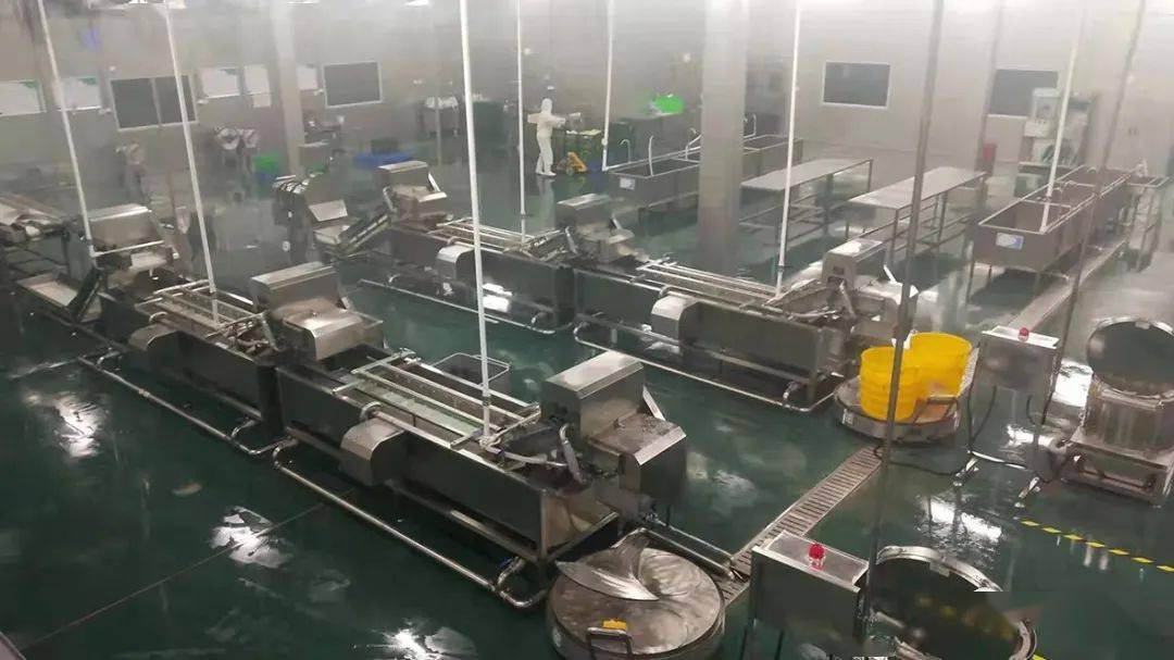 惠发食品一季度产品线全线下滑，上半年加大投入难遏亏损势头