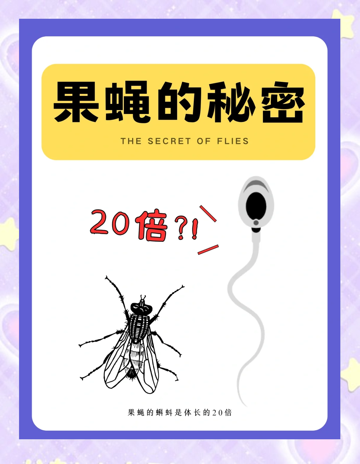 果蝇实验显示幼虫“营养史”会影响寿命