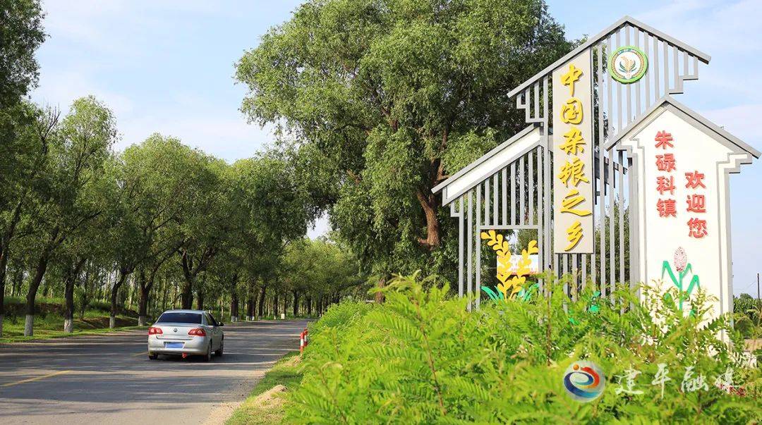 26岁张媛媛当选“全国重点镇”副镇长，4年前参加工作