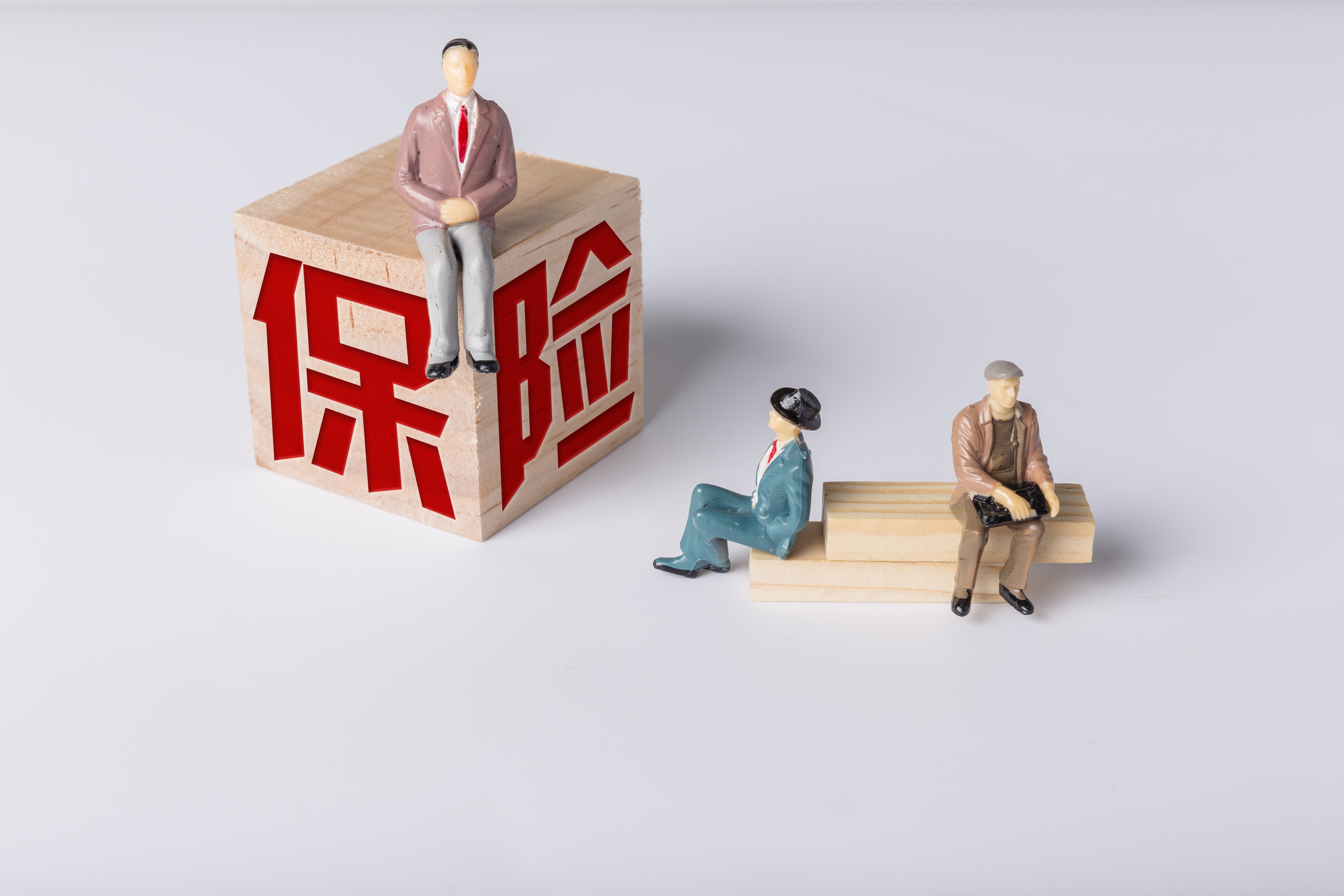 2025中国洁净室服务行业市场深度调研及发展现状、未来趋势预测_保险有温度,人保伴您前行
