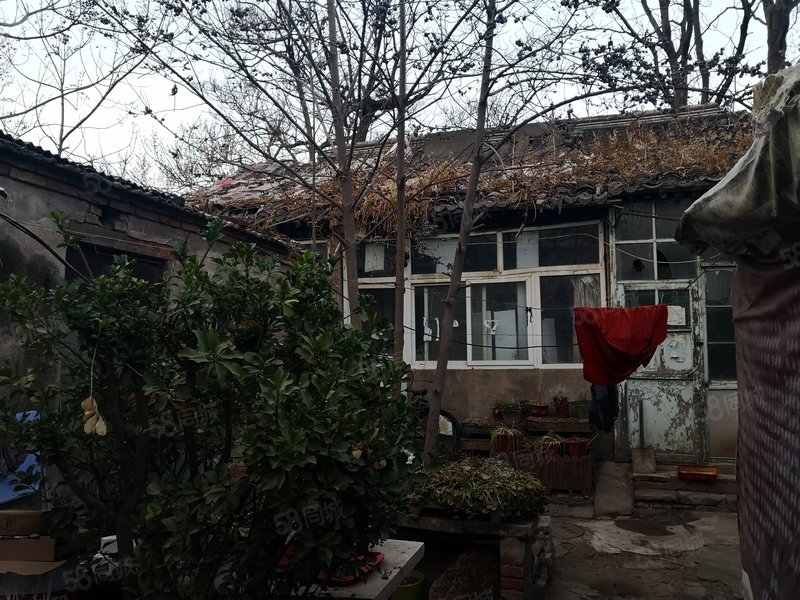 【阜成门外】胡冰川：谁夺走了美国人的牛肉汉堡？