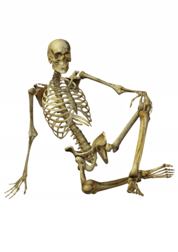 奥比中光获得发明专利授权：“一种人体骨架标注方法、装置及电子设备”