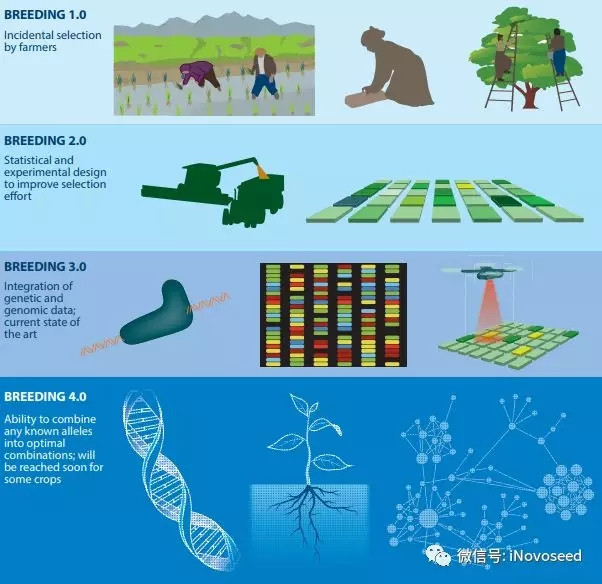 立华股份获得发明专利授权：“一种SNP分子标记组合在体斜长辅助育种中的应用”