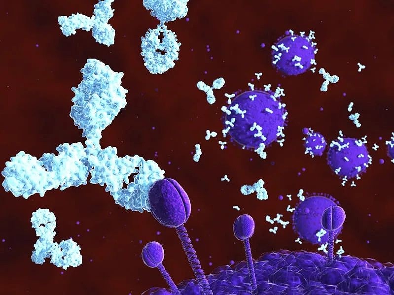 贝达药业：目前无需计提禾元生物发行损失