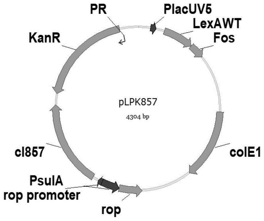 中国石化获得发明专利授权：“一种纳米缓蚀阻垢剂及其制备方法、应用”