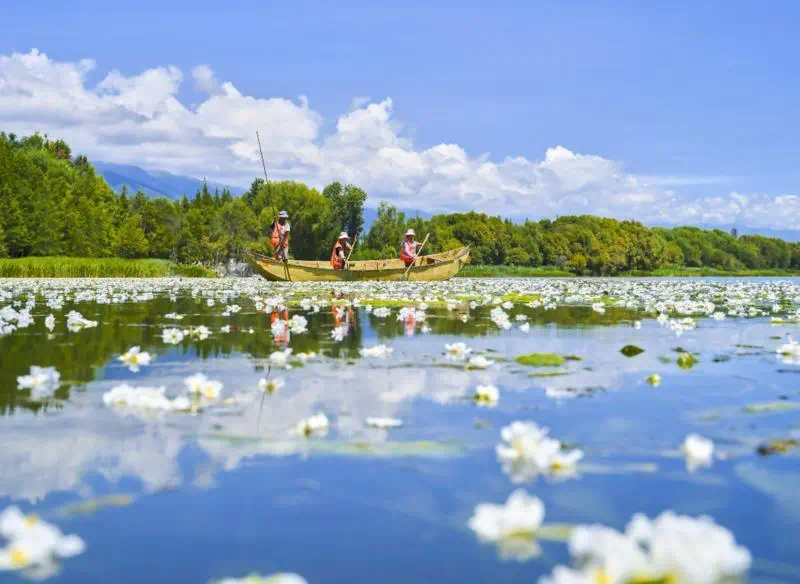 泰和新材：蓬莱产业园区已建成绿色印染项目，并计划建设T2T回收中试项目
