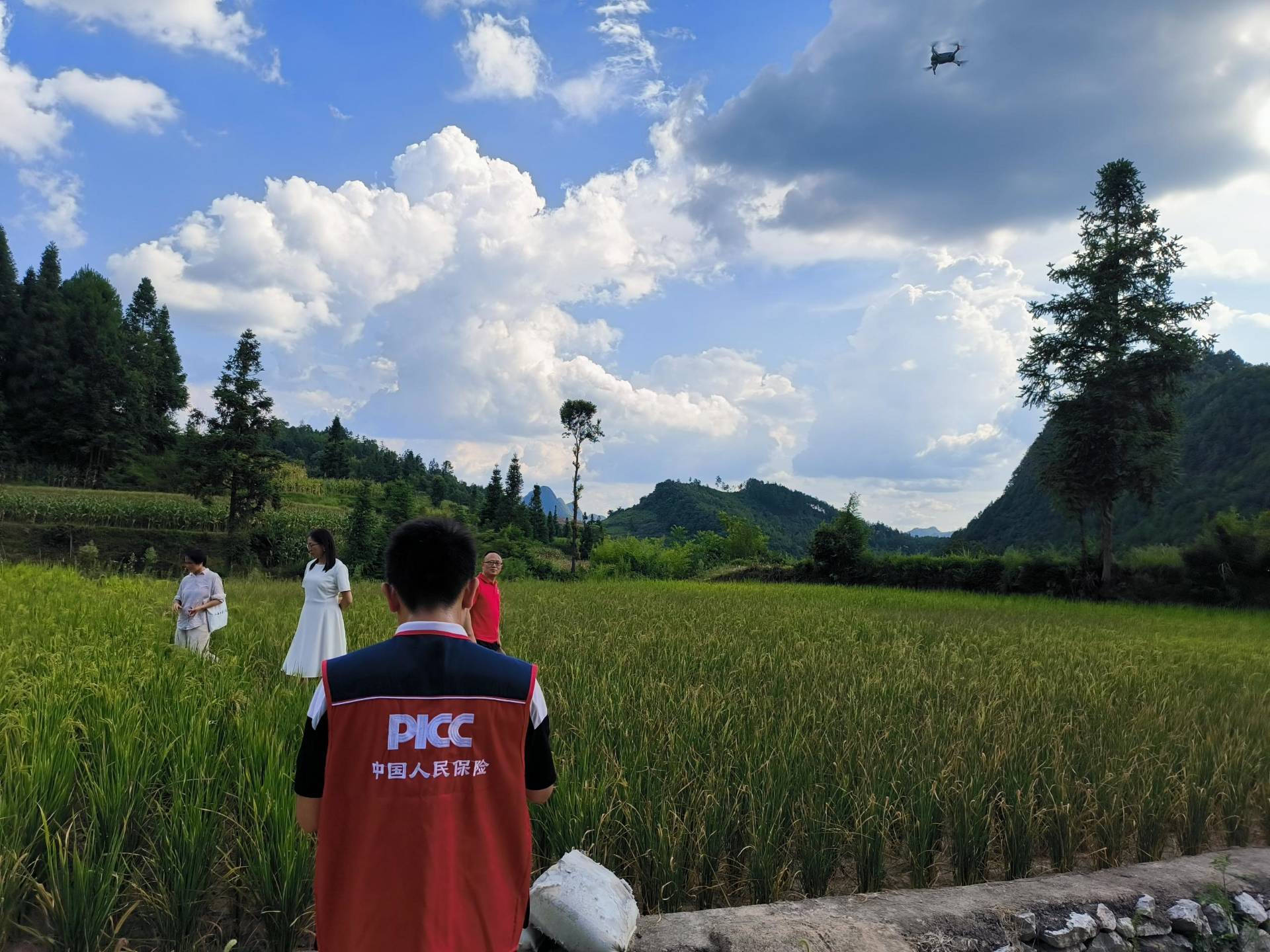 人保财险 ,人保护你周全_移民服务行业现状与发展趋势分析