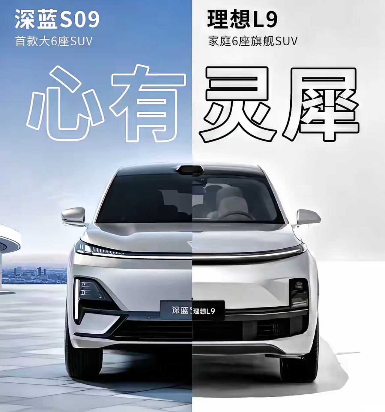 2025-2030年中国磷酸铁锂行业：产能出清与格局优化_保险有温度,人保财险政银保 