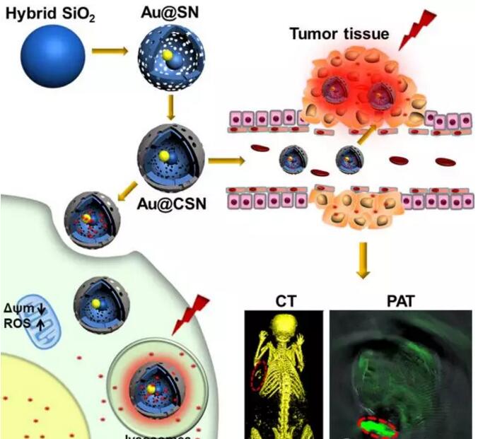 中国石化获得发明专利授权:“一种介孔碳材料及其制备方法与应用”