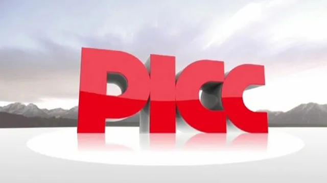 2024年一体化大数据中心行业发展现状、竞争格局及未来发展趋势分析_人保车险   品牌优势——快速了解燃油汽车车险,保险有温度