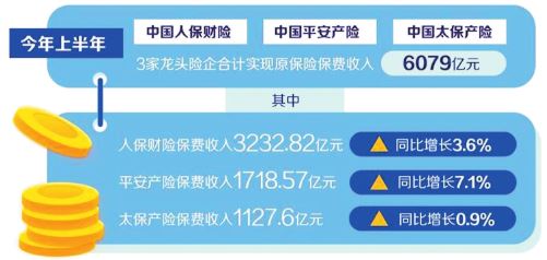 人保车险   品牌优势——快速了解燃油汽车车险,人保财险政银保 _2025中国肉羊养殖行业：从“产量导向”到“绿色导向”的转向
