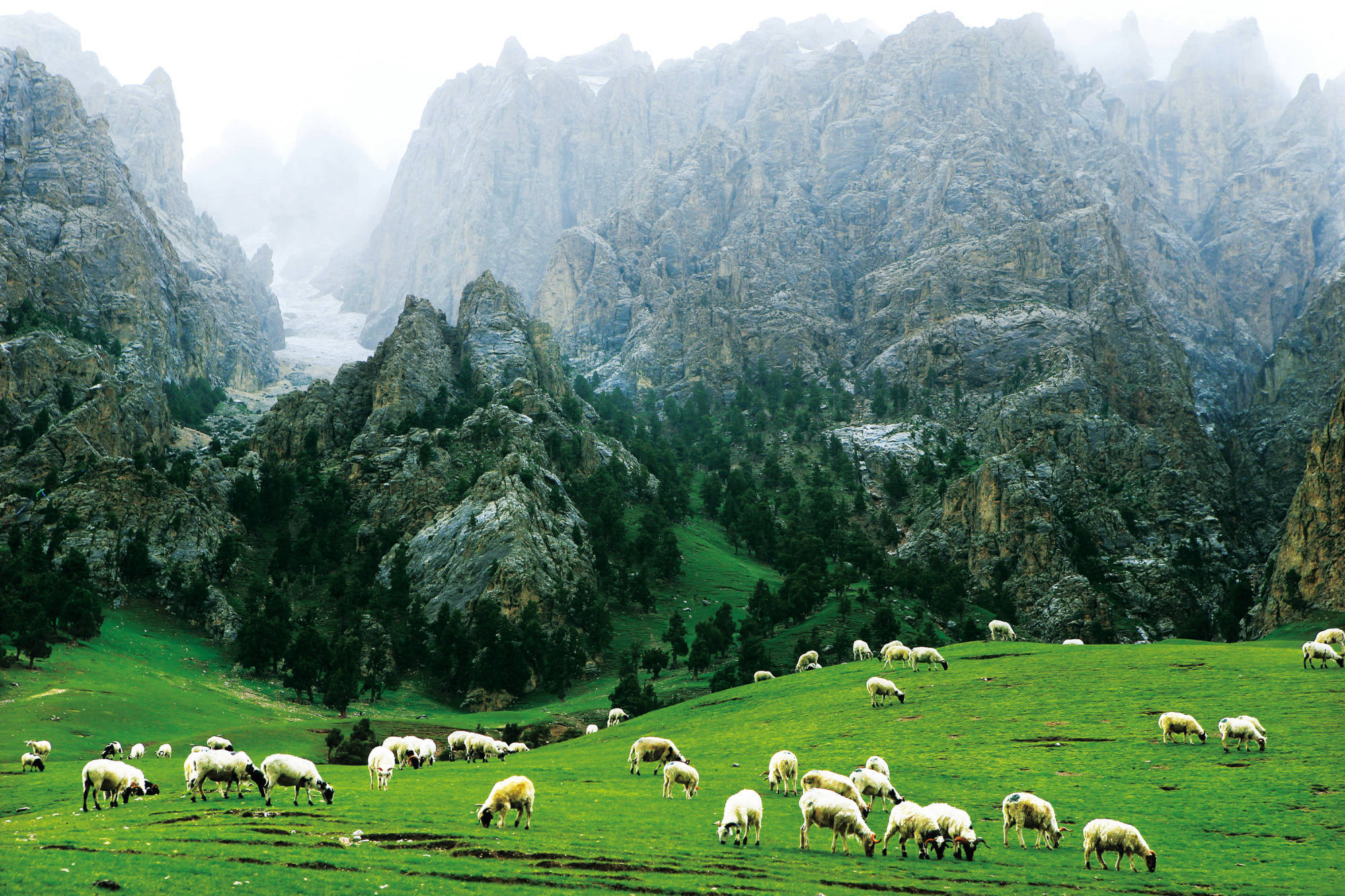 雪山牧场15米亚毫米波望远镜在青海德令哈启动建设